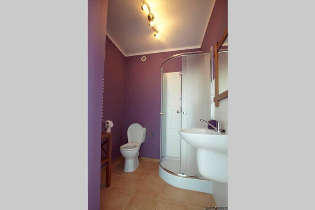 Holiday home Dom Pod Dzika Grusza *