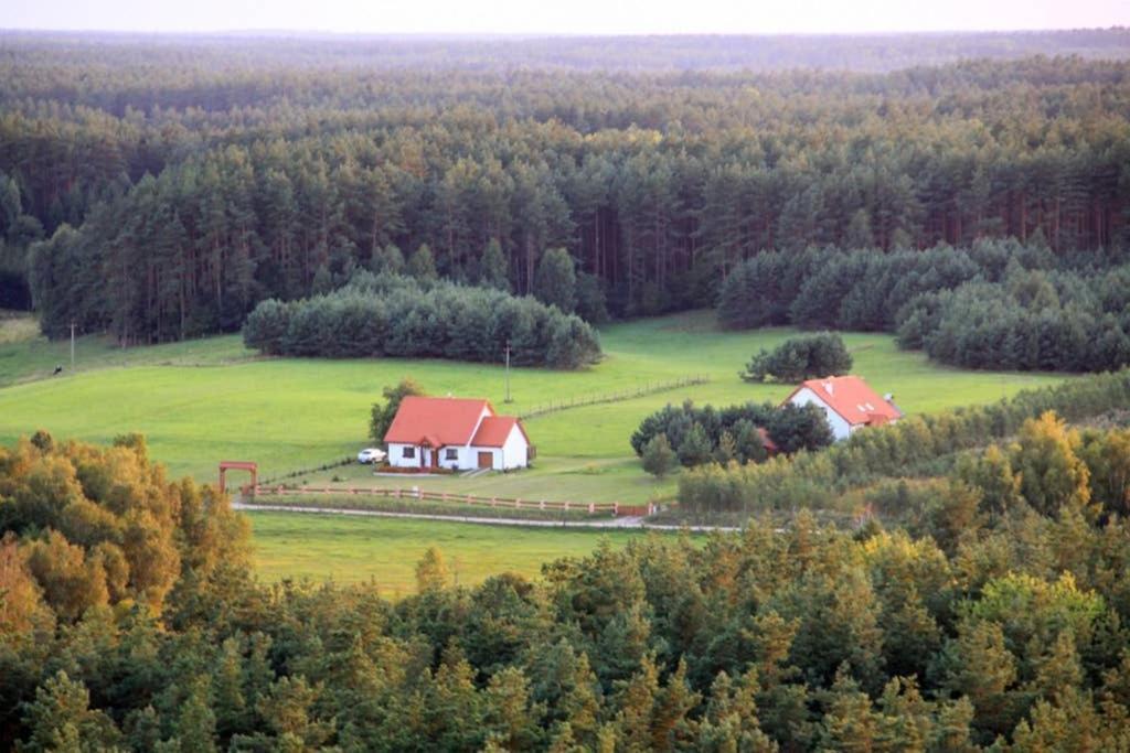 Dom Pod Dzika Grusza Holiday home Piecki (Warmian-Masurian)