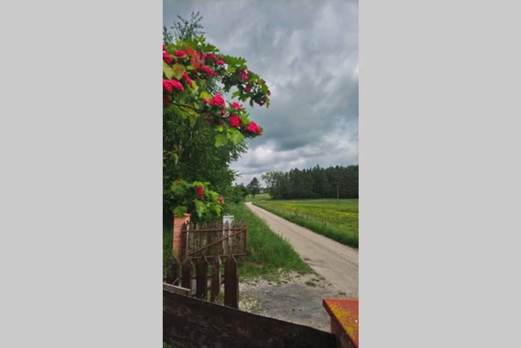 Dom Pod Dzika Grusza Piecki (Warmian-Masurian)
